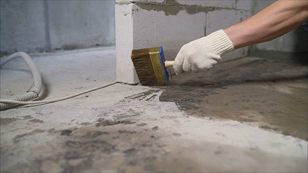 24/7 Emergency Basement Waterproofing experts in College Grove, TN